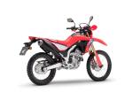 Klikněte pro detailní foto č. 6 - Honda CRF 300L
