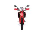Klikněte pro detailní foto č. 7 - Honda CRF 300L
