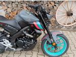 Klikněte pro detailní foto č. 4 - Yamaha MT-125 ABS
