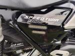 Klikněte pro detailní foto č. 9 - Triumph Speed Twin 900