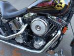 Klikněte pro detailní foto č. 4 - Harley-Davidson FXSTS Springer Softail