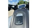 Klikněte pro detailní foto č. 8 - Harley-Davidson Pan America 1250 Limited