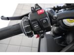Klikněte pro detailní foto č. 8 - BMW BMW S 1000 R