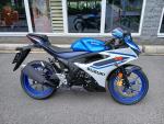 Detail nabídky - Suzuki GSX-R 125