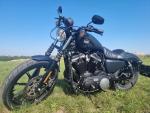Klikněte pro detailní foto č. 13 - Harley-Davidson XL 883N Sportster Iron