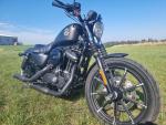 Klikněte pro detailní foto č. 2 - Harley-Davidson XL 883N Sportster Iron