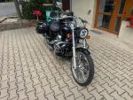 Klikněte pro detailní foto č. 3 - Kawasaki VN 900 Custom