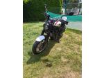 Klikněte pro detailní foto č. 8 - Yamaha XSR 700 X Tribute (2020) doplňky