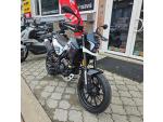 Klikněte pro detailní foto č. 11 - Benelli BKX 300 S, ABS, nastavitelný tlumič, kryty rukou