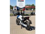 Klikněte pro detailní foto č. 7 - Moto Guzzi Stelvio DUECENTO TRIBUTO