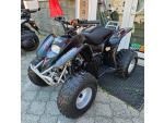 Klikněte pro detailní foto č. 12 - Access Motor DRR 100, DPH, ČR, osvětlení, zadní madlo, el. startér