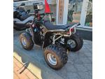 Klikněte pro detailní foto č. 4 - Access Motor DRR 100, DPH, ČR, osvětlení, zadní madlo, el. startér
