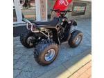 Klikněte pro detailní foto č. 7 - Access Motor DRR 100, DPH, ČR, osvětlení, zadní madlo, el. startér