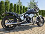 Klikněte pro detailní foto č. 4 - Harley-Davidson FLST Heritage Softail