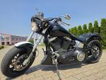 Klikněte pro detailní foto č. 7 - Harley-Davidson FLST Heritage Softail