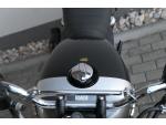 Klikněte pro detailní foto č. 12 - Royal Enfield Bear 650 Golden Shadow ( odpočet DPH )