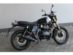 Klikněte pro detailní foto č. 3 - Royal Enfield Bear 650 Golden Shadow ( odpočet DPH )
