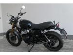 Klikněte pro detailní foto č. 6 - Royal Enfield Bear 650 Golden Shadow ( odpočet DPH )
