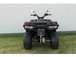 Klikněte pro detailní foto č. 10 - Loncin XWolf 300i ( odpočet DPH )