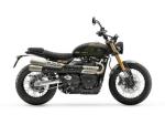 Klikněte pro detailní foto č. 2 - Triumph Scrambler 900 - SKLADEM