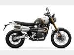 Detail nabídky - Triumph Scrambler 1200 XE Objednávka