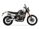 Klikněte pro detailní foto č. 1 - Triumph Scrambler 1200 XE Objednávka