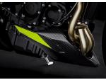 Klikněte pro detailní foto č. 5 - Triumph Street Triple 765 Moto 2 - Objednávka