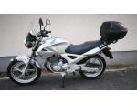 Klikněte pro detailní foto č. 5 - Honda CBF 250