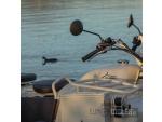 Klikněte pro detailní foto č. 13 - SWM SIDECAR URBAN 525