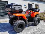 Klikněte pro detailní foto č. 9 - Loncin XWolf 300i
